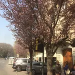住宿加早餐酒店 阿图罗住宿加早餐旅馆