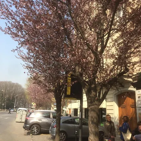 לינה וארוחת בוקר La Casa Di Arturo