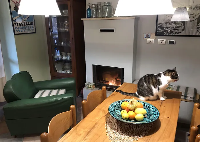 La Casa Di Arturo 3* Turín